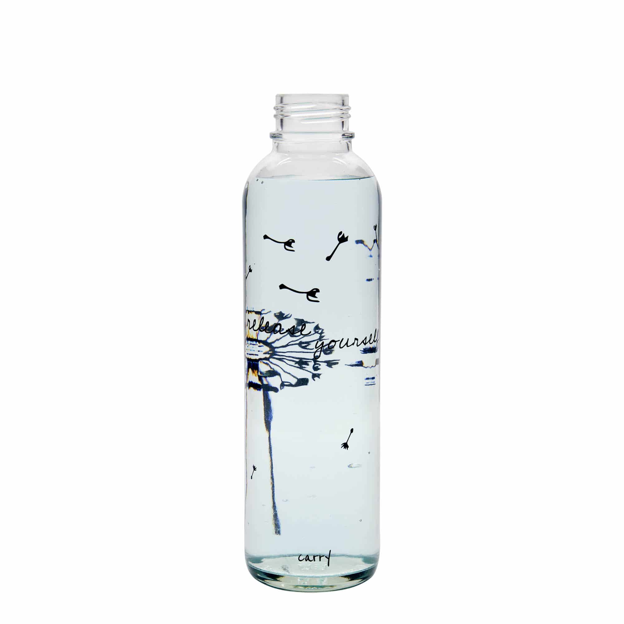 Boca za vodu 700 ml CARRY Bottle, motiv: Release Yourself, otvor: navojni čep