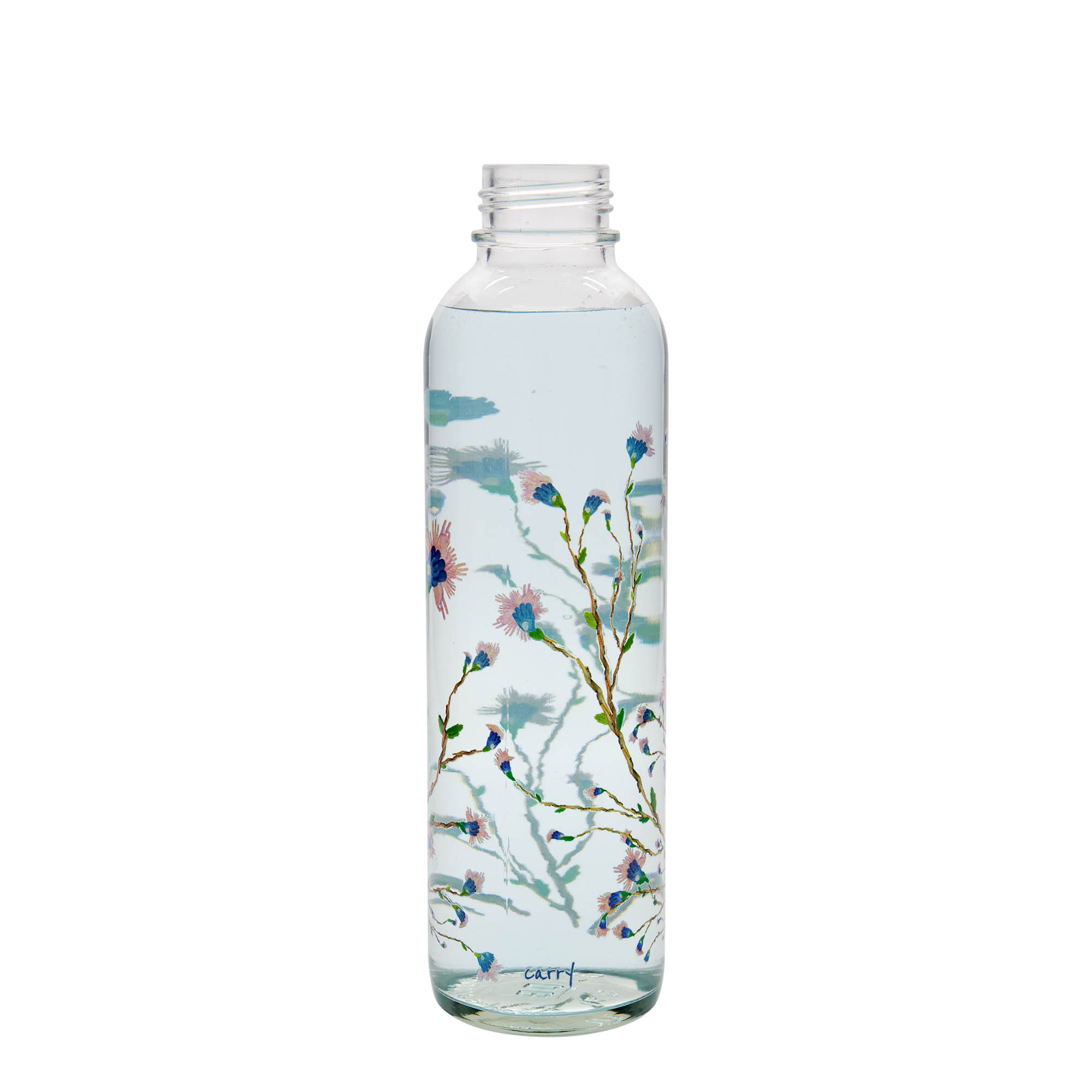 Boca za vodu 700 ml CARRY Bottle, motiv: Hanami, otvor: navojni čep